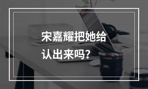 宋嘉耀把她给认出来吗？