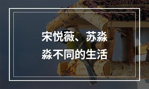 宋悦薇、苏淼淼不同的生活