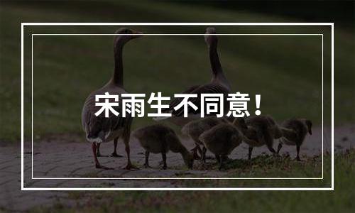 宋雨生不同意！