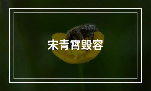 宋青霄毁容
