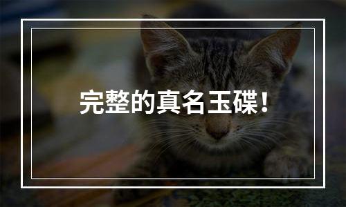 完整的真名玉碟！