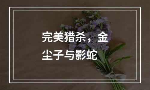 完美猎杀，金尘子与影蛇