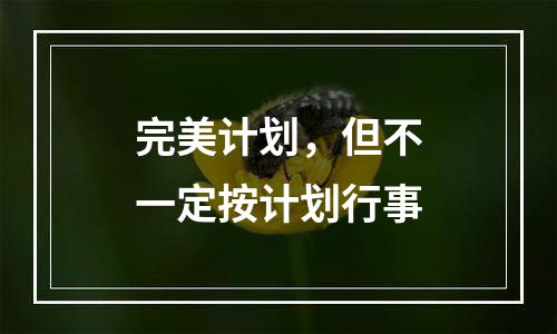 完美计划，但不一定按计划行事