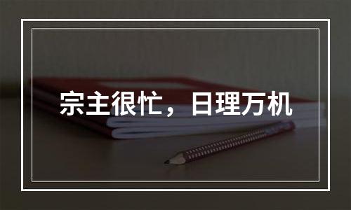 宗主很忙，日理万机