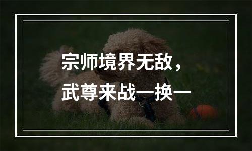 宗师境界无敌，武尊来战一换一