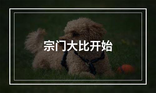 宗门大比开始