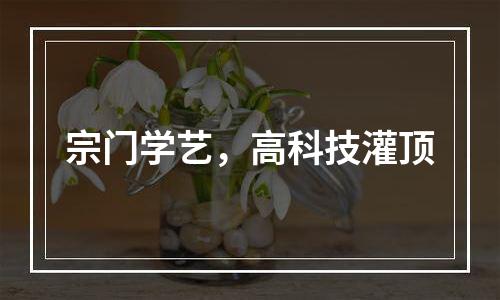 宗门学艺，高科技灌顶