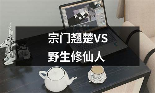 宗门翘楚VS野生修仙人
