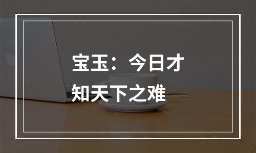 宝玉：今日才知天下之难