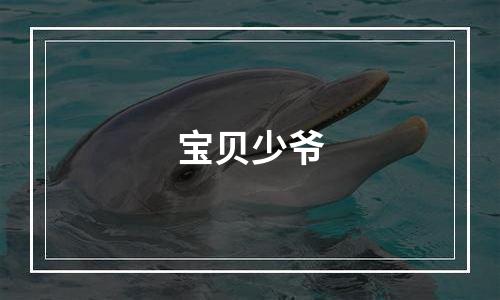 宝贝少爷