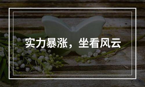 实力暴涨，坐看风云