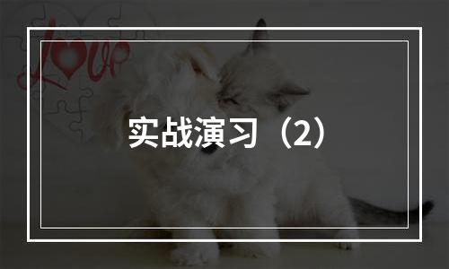 实战演习（2）