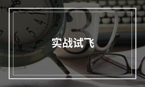 实战试飞