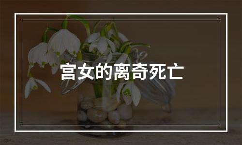 宫女的离奇死亡