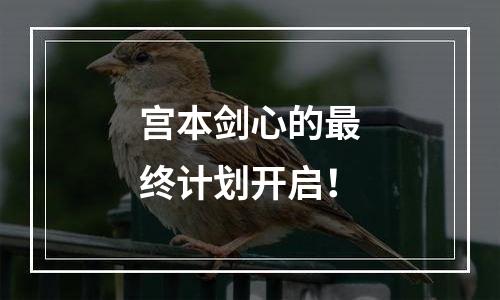 宫本剑心的最终计划开启！