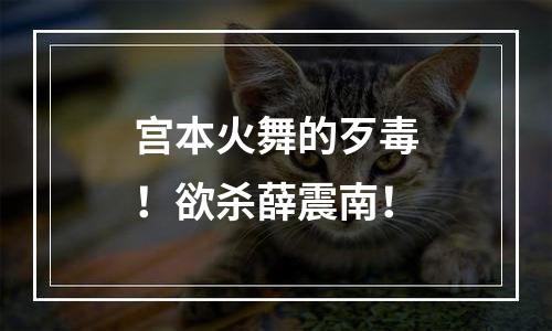 宫本火舞的歹毒！欲杀薛震南！