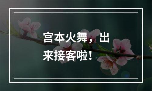 宫本火舞，出来接客啦！