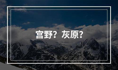 宫野？灰原？