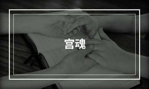 宫魂