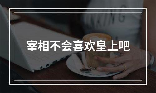宰相不会喜欢皇上吧