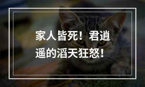 家人皆死！君逍遥的滔天狂怒！