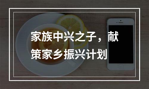家族中兴之子，献策家乡振兴计划