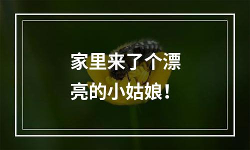 家里来了个漂亮的小姑娘！