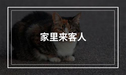 家里来客人