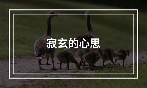 寂玄的心思