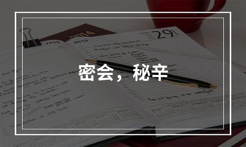 密会，秘辛