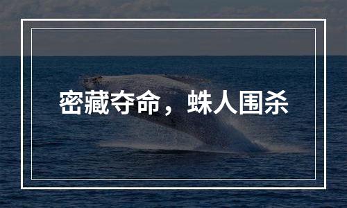 密藏夺命，蛛人围杀