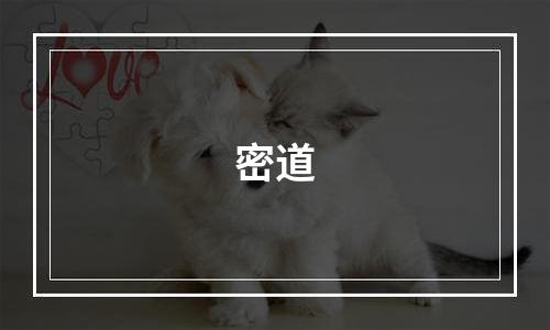密道