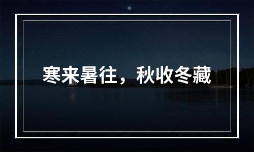 寒来暑往，秋收冬藏