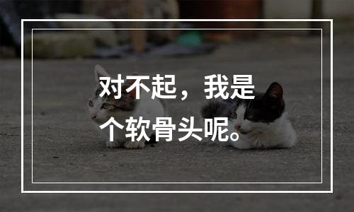 对不起，我是个软骨头呢。