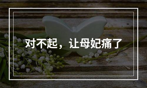 对不起，让母妃痛了