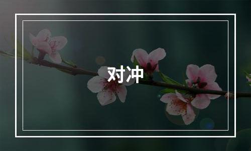 对冲