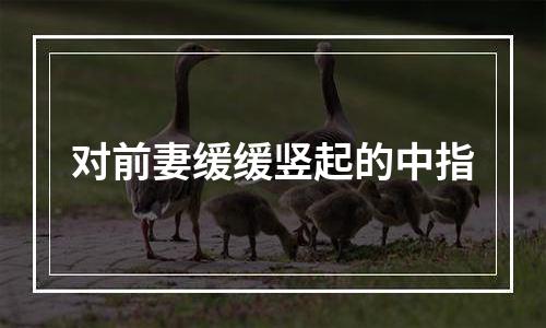对前妻缓缓竖起的中指