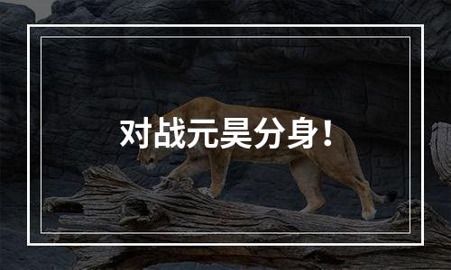 对战元昊分身！
