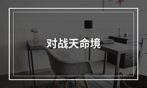 对战天命境