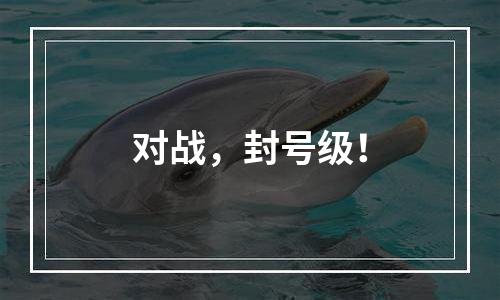 对战，封号级！