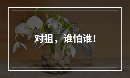 对狙，谁怕谁！