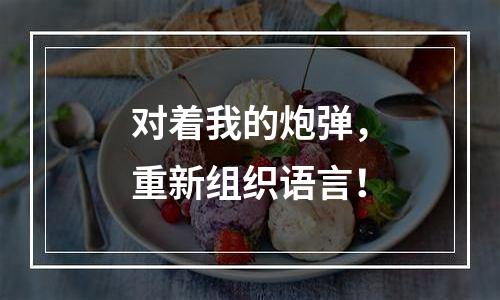 对着我的炮弹，重新组织语言！