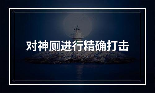 对神厕进行精确打击