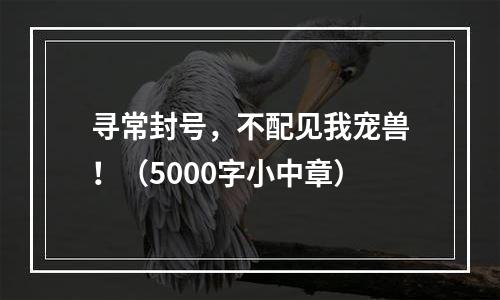 寻常封号，不配见我宠兽！（5000字小中章）