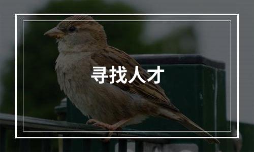 寻找人才