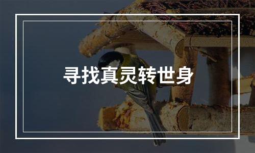 寻找真灵转世身