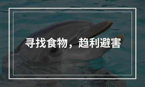 寻找食物，趋利避害