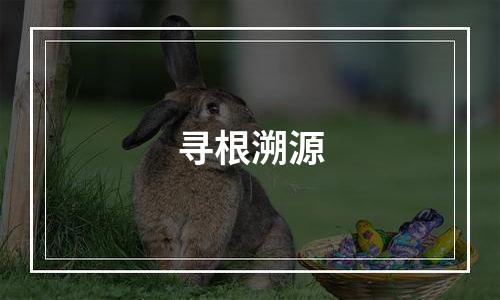 寻根溯源
