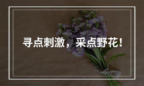 寻点刺激，采点野花！