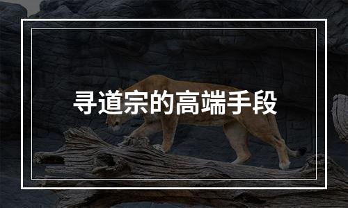 寻道宗的高端手段